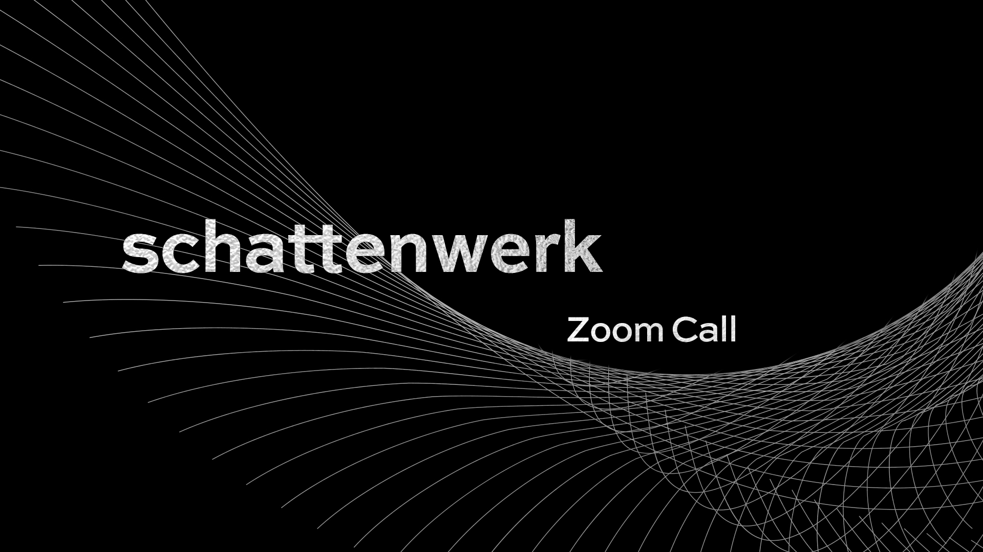 schattenwerk-Zoom-Call